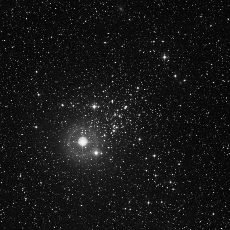 Image of NGC 457 (Owl Cluster) - Open Cluster in Cassiopeia star