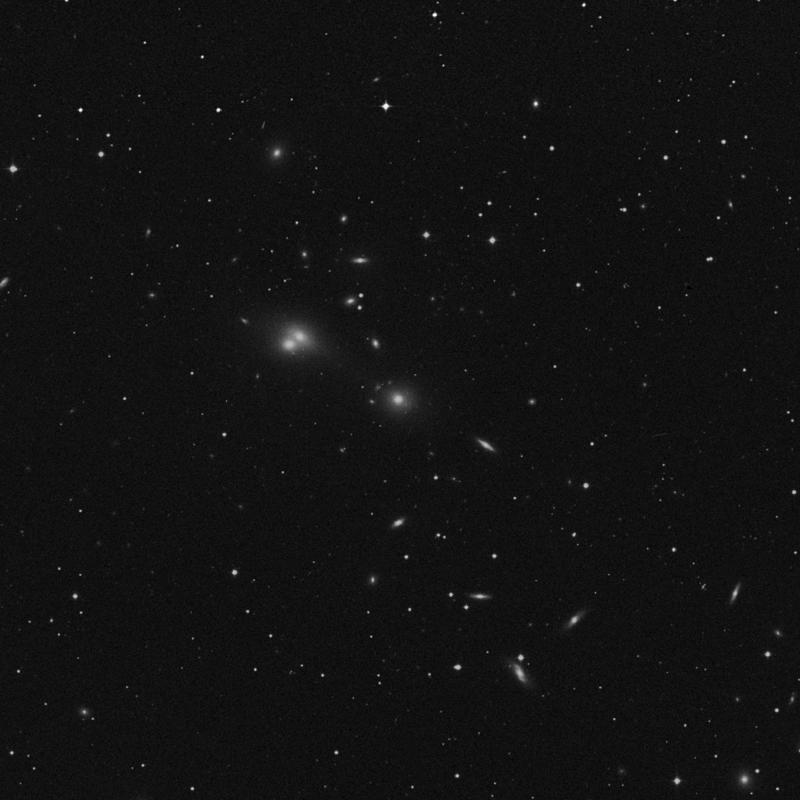 Image of NGC 541 - Elliptical Galaxy in Cetus star