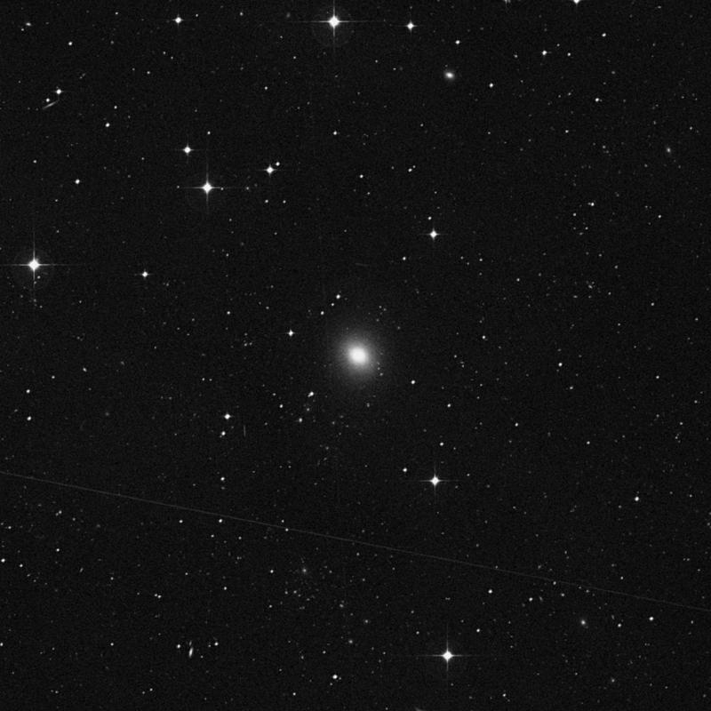 Image of NGC 636 - Elliptical Galaxy in Cetus star