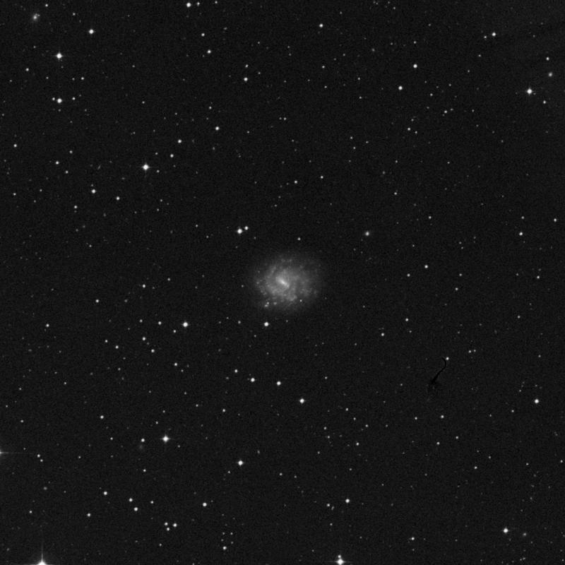 Image of NGC 685 - Spiral Galaxy in Eridanus star