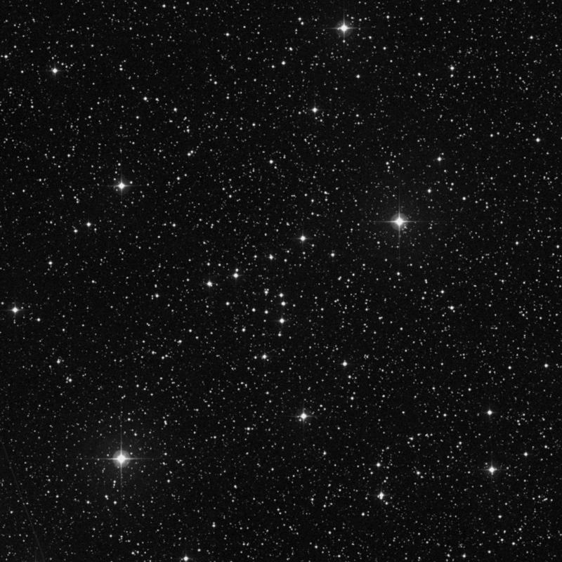 Image of NGC 743 - Open Cluster in Cassiopeia star