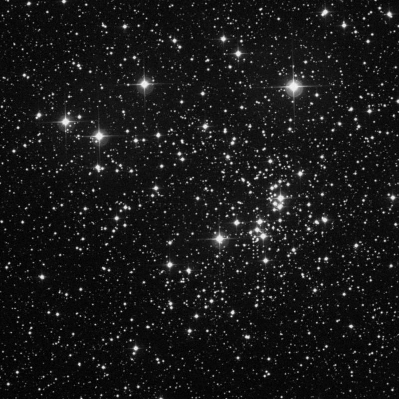 Image of NGC 884 (Chi Persei Cluster) - Open Cluster in Perseus star