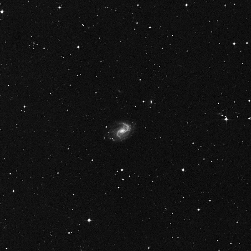 Image of NGC 894 - Other Classification in Cetus star