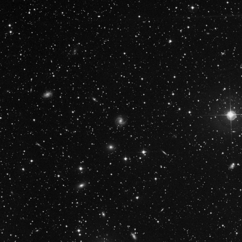 Image of NGC 906 - Spiral Galaxy in Andromeda star