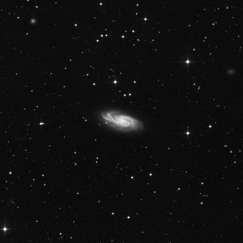 Image of NGC 908 - Intermediate Spiral Galaxy in Cetus star