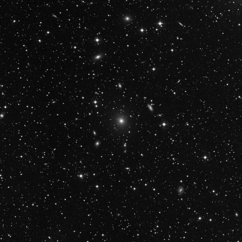 Image of NGC 910 - Elliptical Galaxy in Andromeda star