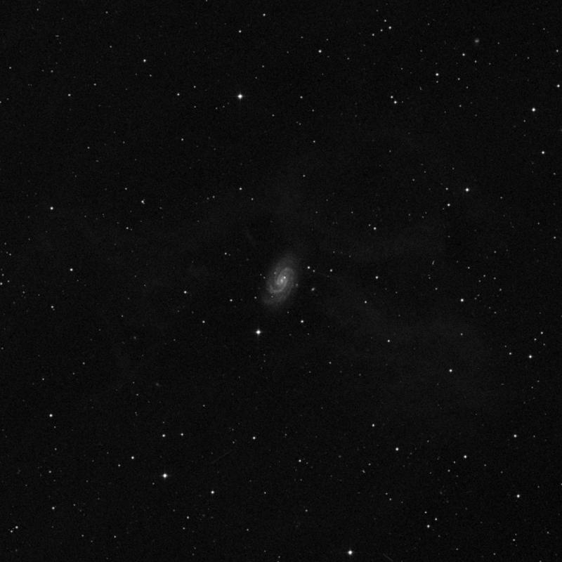 Image of NGC 918 - Spiral Galaxy in Aries star
