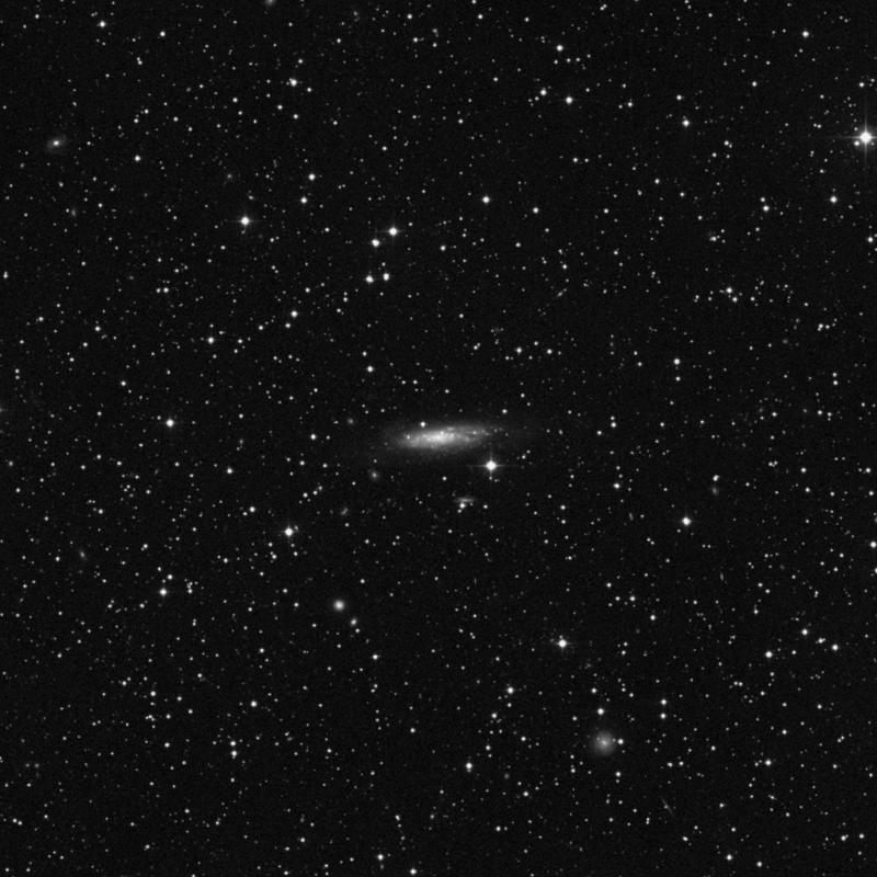 Image of NGC 1003 - Spiral Galaxy in Perseus star