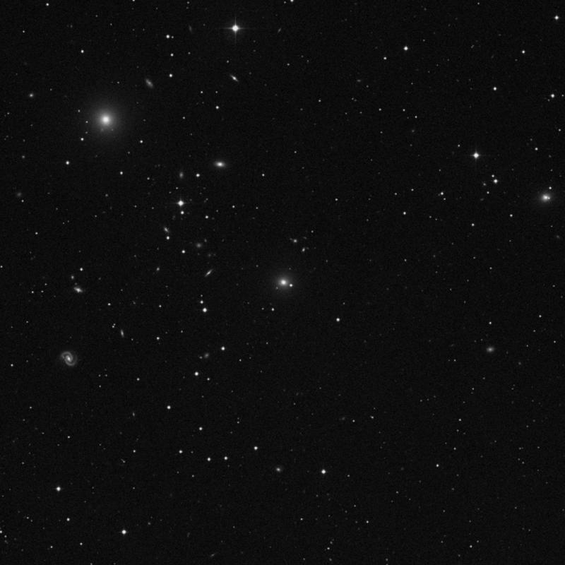 Image of NGC 1004 - Elliptical Galaxy in Cetus star