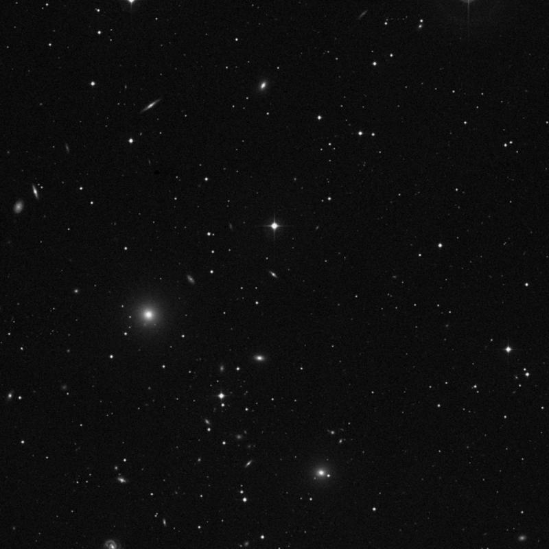 Image of NGC 1007 - Galaxy in Cetus star