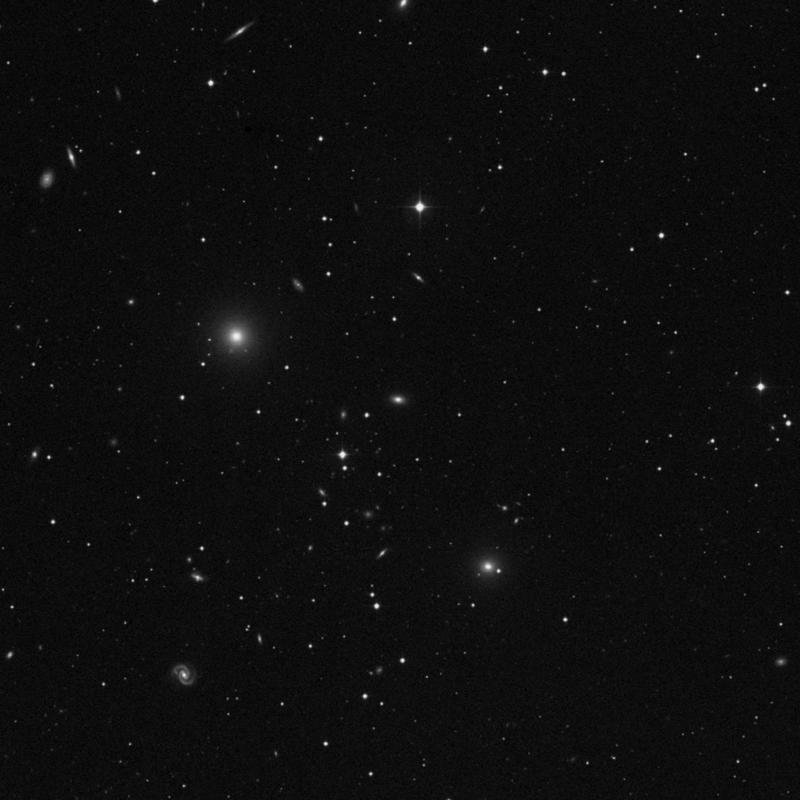 Image of NGC 1008 - Elliptical Galaxy in Cetus star