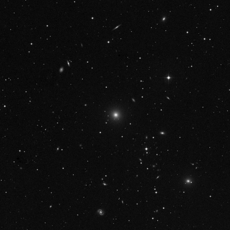 Image of NGC 1016 - Elliptical Galaxy in Cetus star