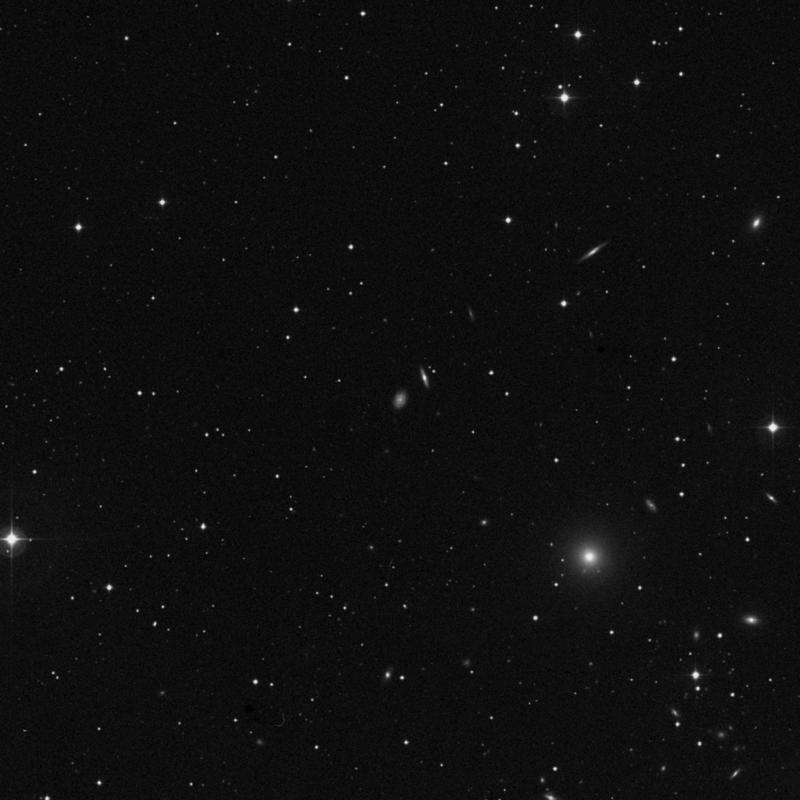 Image of NGC 1021 - Intermediate Spiral Galaxy in Cetus star