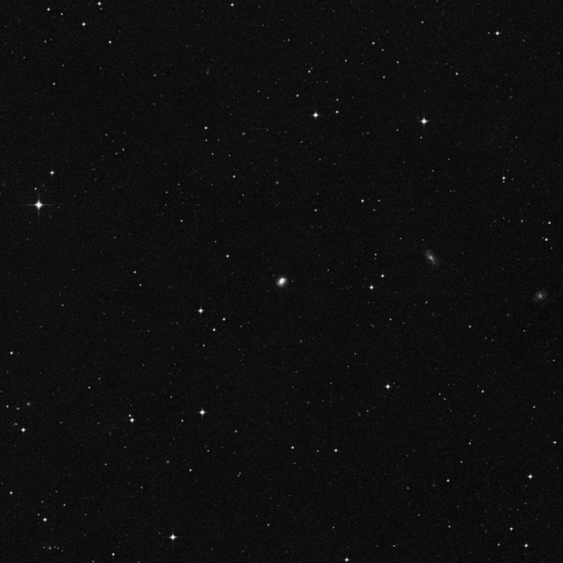 Image of NGC 1034 - Irregular Galaxy in Cetus star