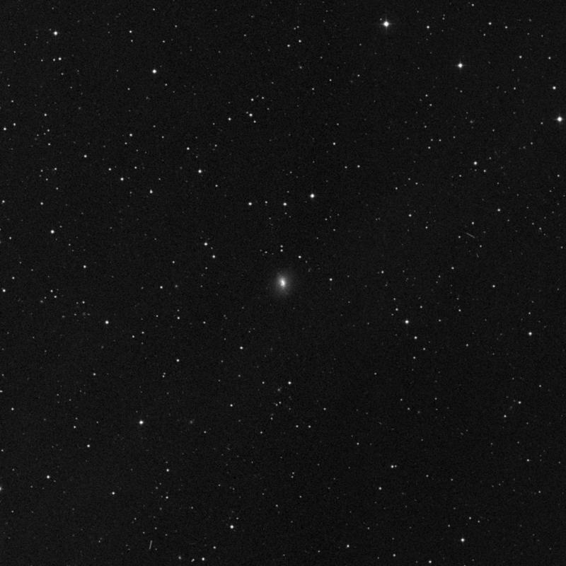 Image of NGC 1036 - Spiral Galaxy in Aries star