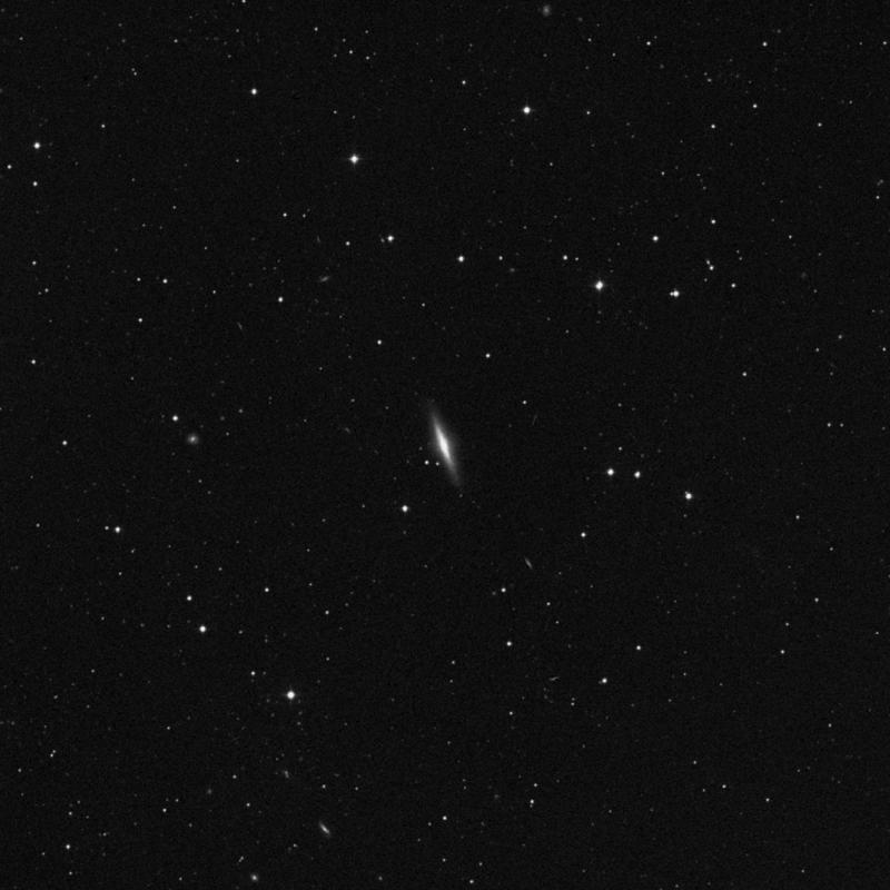 Image of NGC 955 - Spiral Galaxy in Cetus star