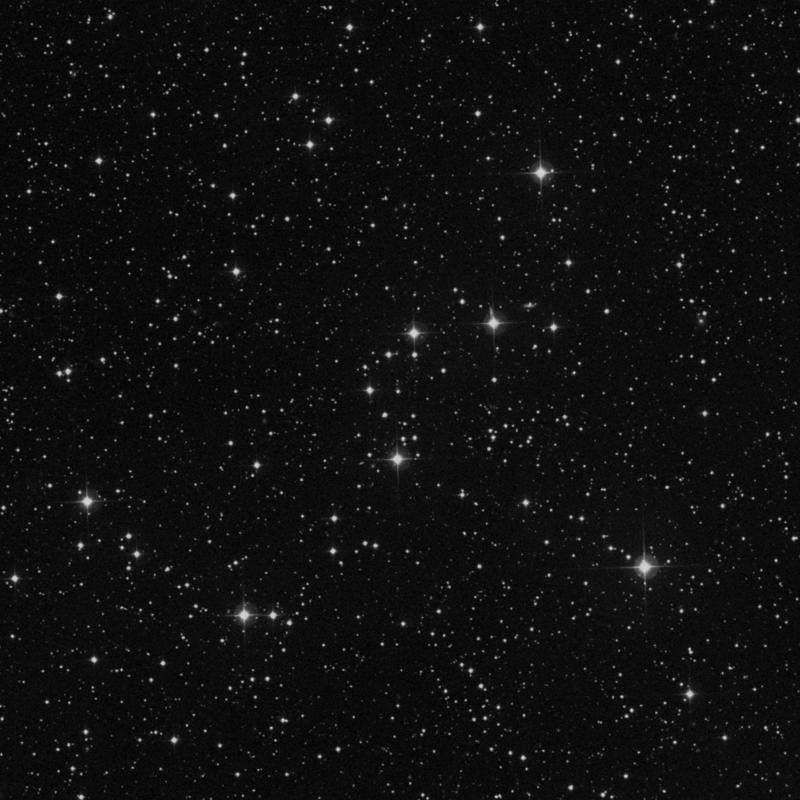 Image of NGC 956 - Open Cluster in Andromeda star