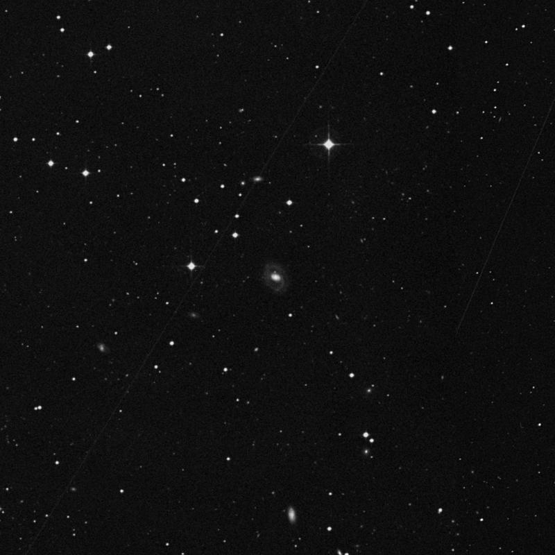 Image of NGC 977 - Spiral Galaxy in Cetus star