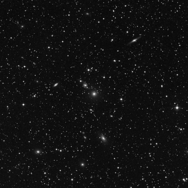 Image of NGC 996 - Elliptical Galaxy in Perseus star