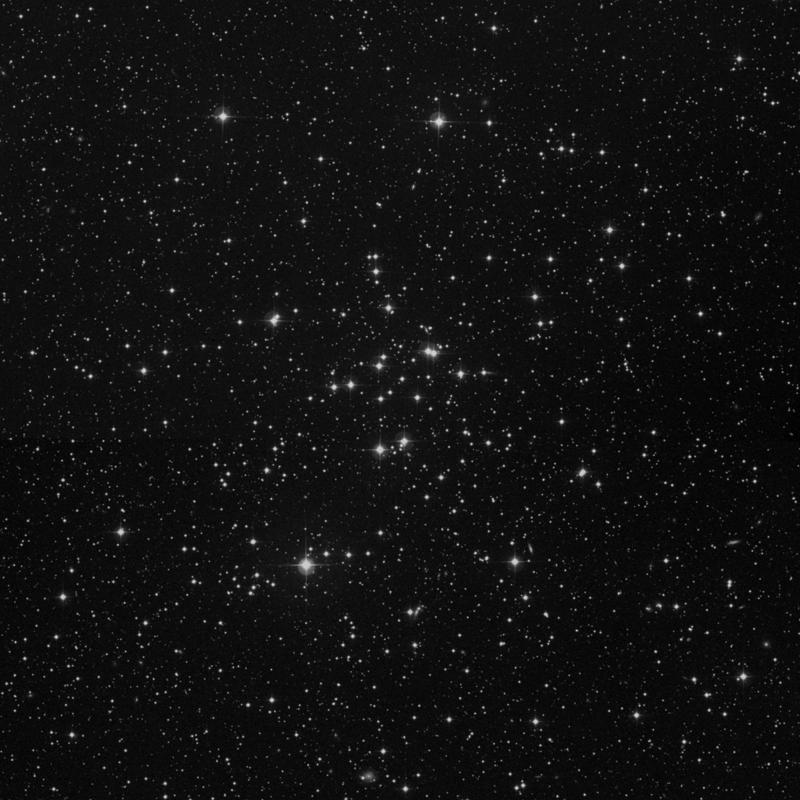 Image of Messier 34 - Open Cluster in Perseus star