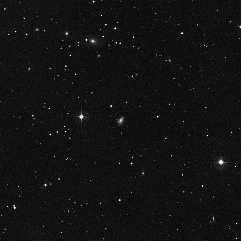 Image of NGC 1069 - Intermediate Spiral Galaxy in Cetus star