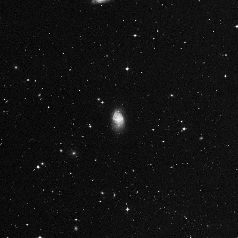 Image of NGC 1087 - Spiral Galaxy in Cetus star