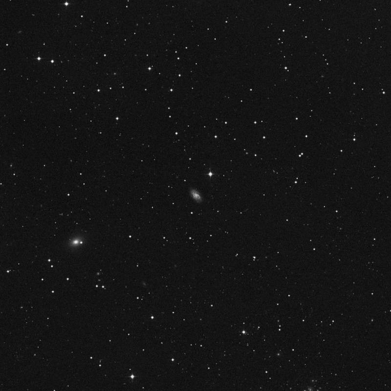 Image of NGC 1095 - Galaxy in Cetus star