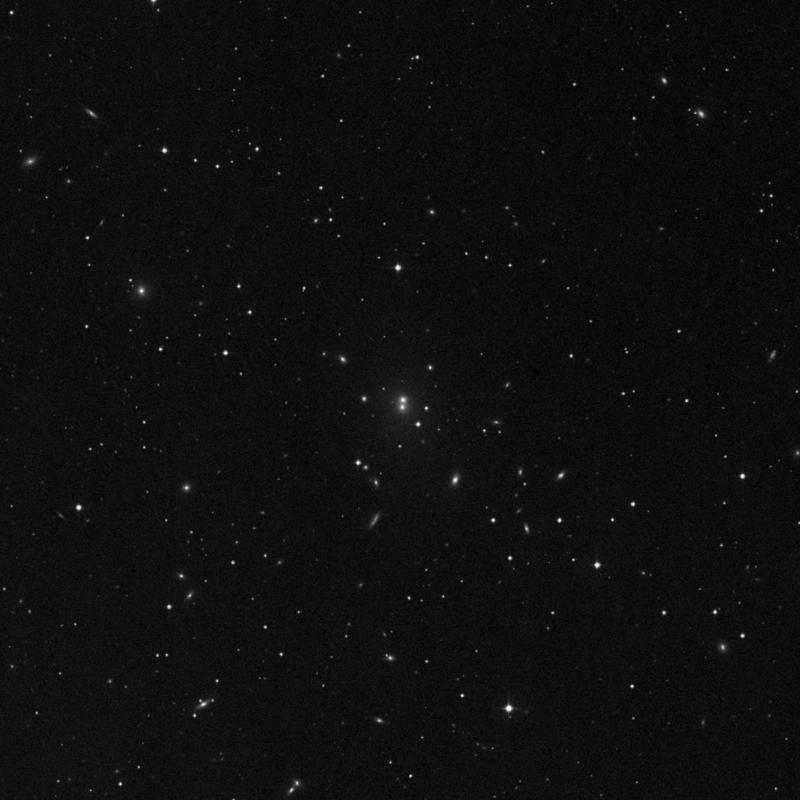 Image of NGC 1128 NED02 - Elliptical Galaxy in Cetus star