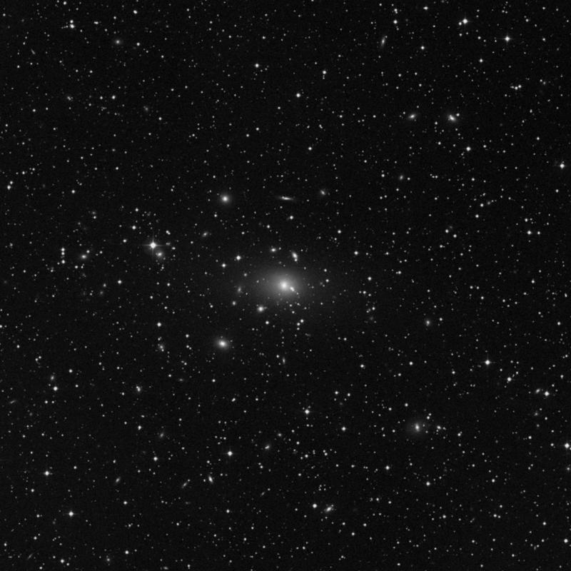 Image of NGC 1129 - Elliptical Galaxy in Perseus star