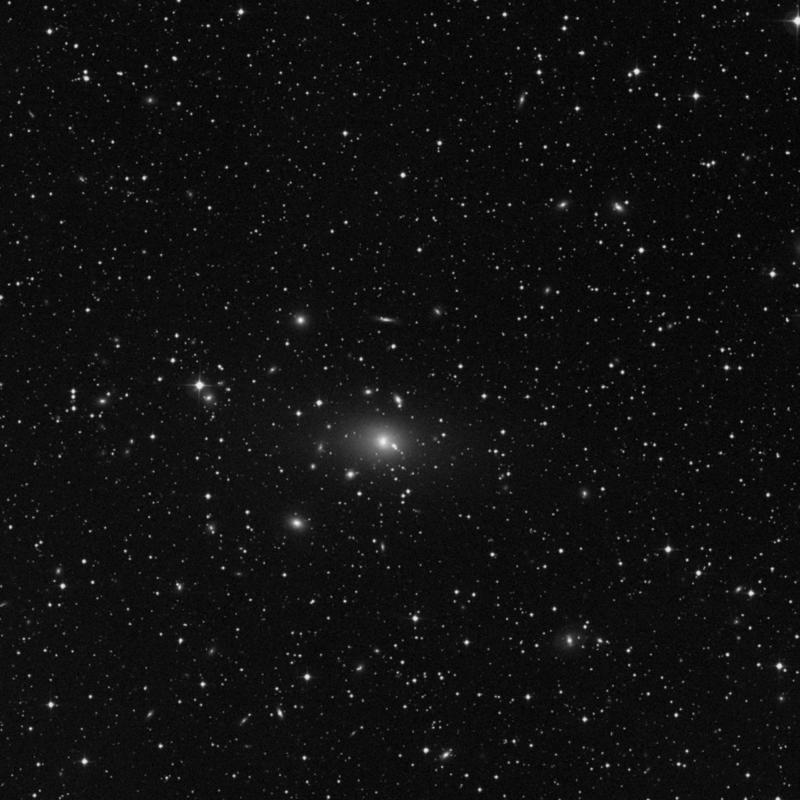 Image of NGC 1130 - Elliptical Galaxy in Perseus star