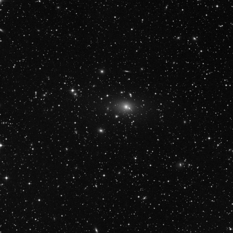 Image of NGC 1131 - Elliptical Galaxy in Perseus star