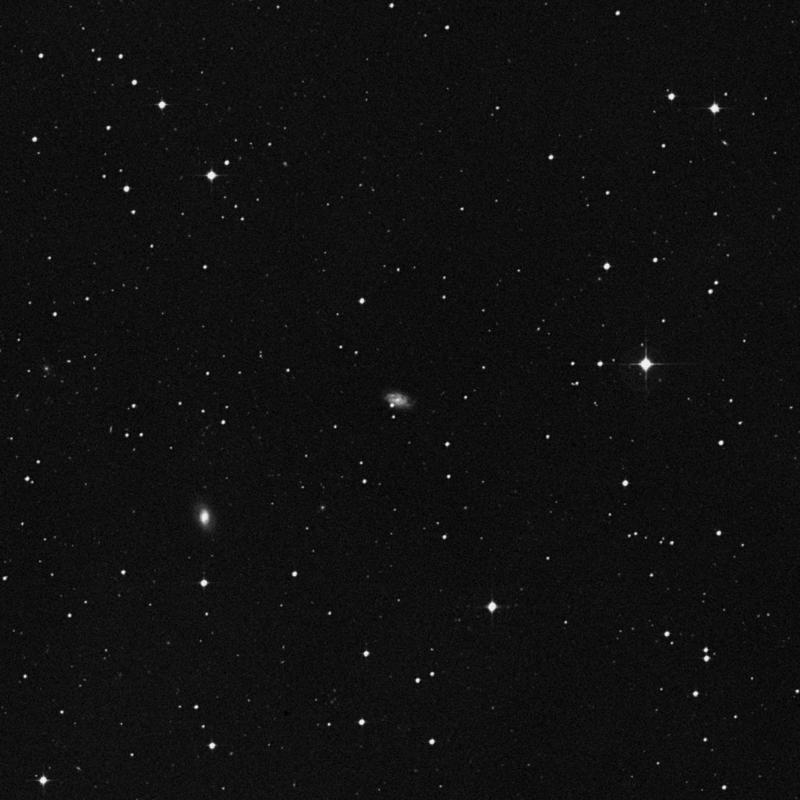 Image of NGC 1148 - Barred Spiral Galaxy in Eridanus star