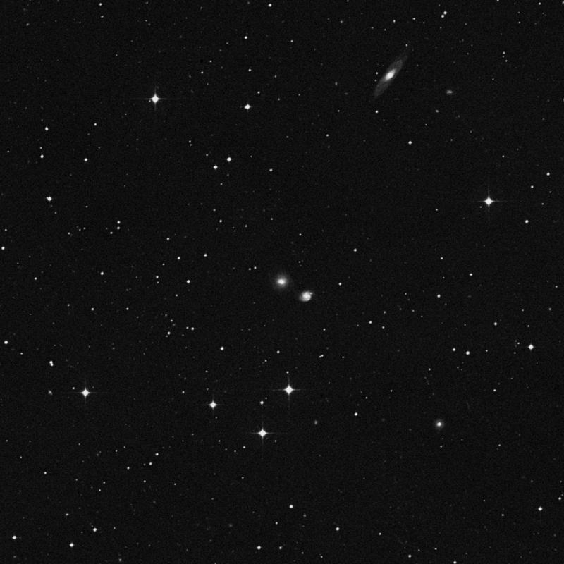Image of NGC 1155 - Lenticular Galaxy in Eridanus star