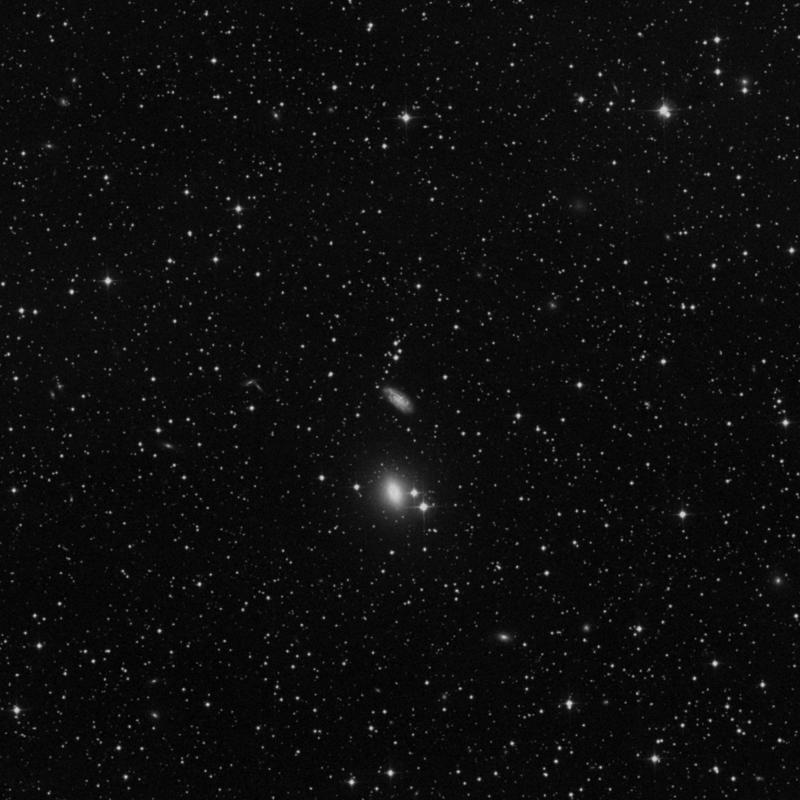 Image of NGC 1160 - Galaxy in Perseus star