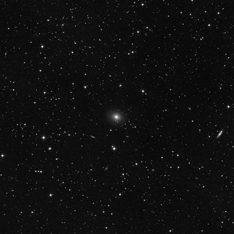 Image of NGC 1167 - Lenticular Galaxy in Perseus star