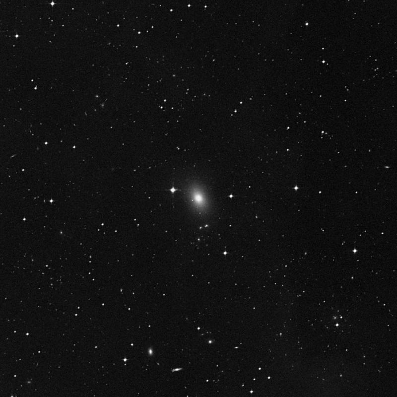 Image of NGC 1172 - Elliptical Galaxy in Eridanus star
