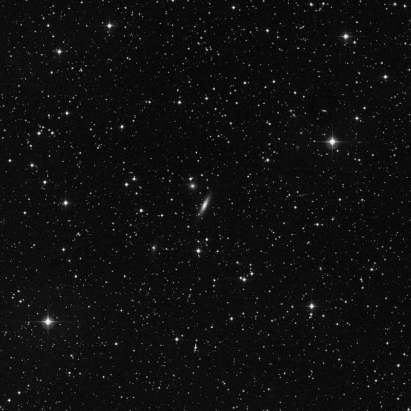 Image of NGC 1175 - Lenticular Galaxy in Perseus star