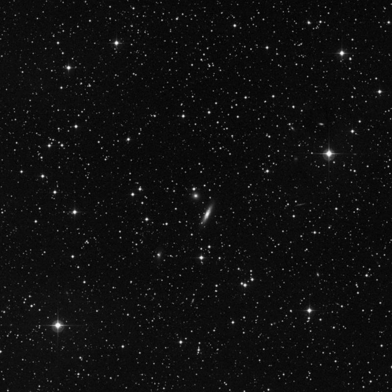 Image of NGC 1177 - Elliptical Galaxy in Perseus star