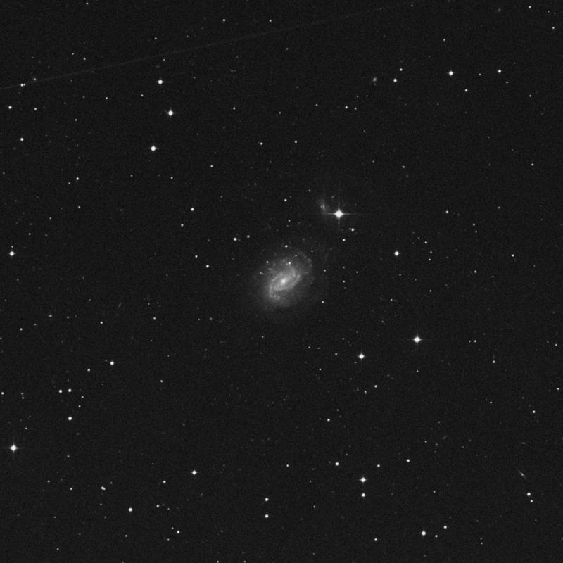 Image of NGC 1187 - Spiral Galaxy in Eridanus star