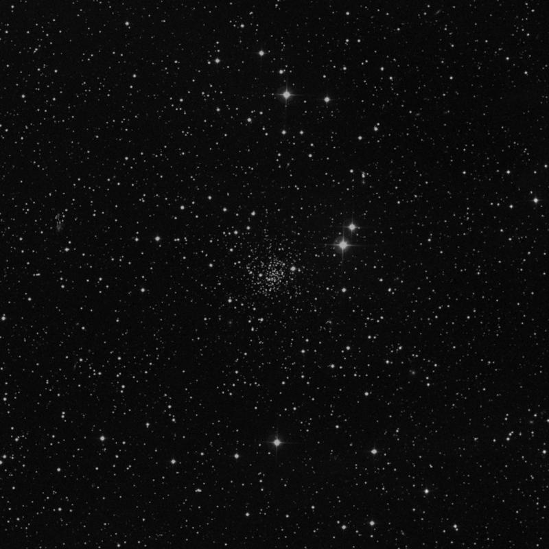 Image of NGC 1193 - Open Cluster in Perseus star