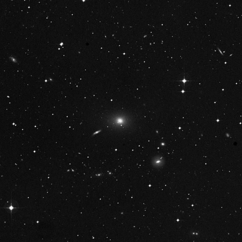 Image of NGC 1200 - Elliptical/Spiral Galaxy in Eridanus star