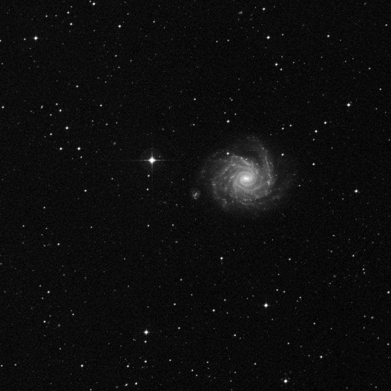 Image of NGC 1232A - Barred Spiral Galaxy in Eridanus star
