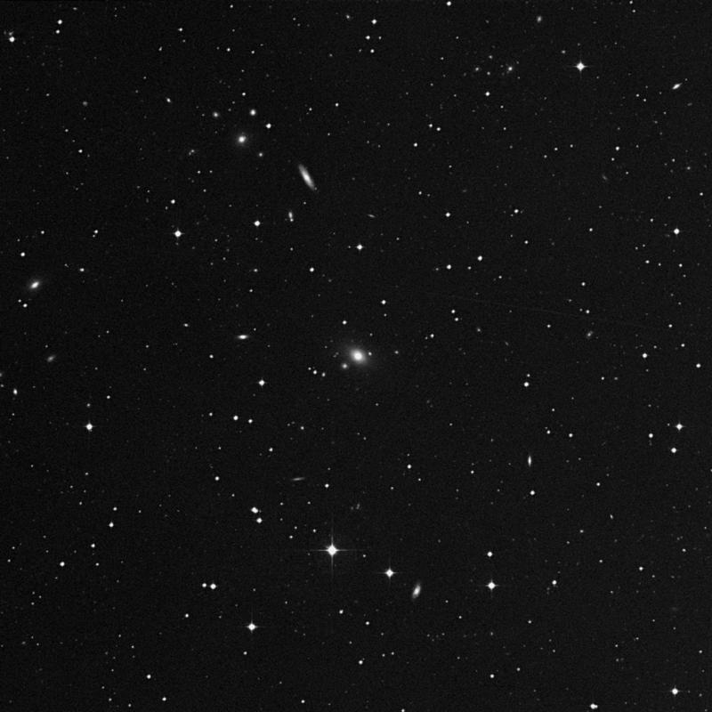 Image of NGC 1239 - Lenticular Galaxy in Eridanus star