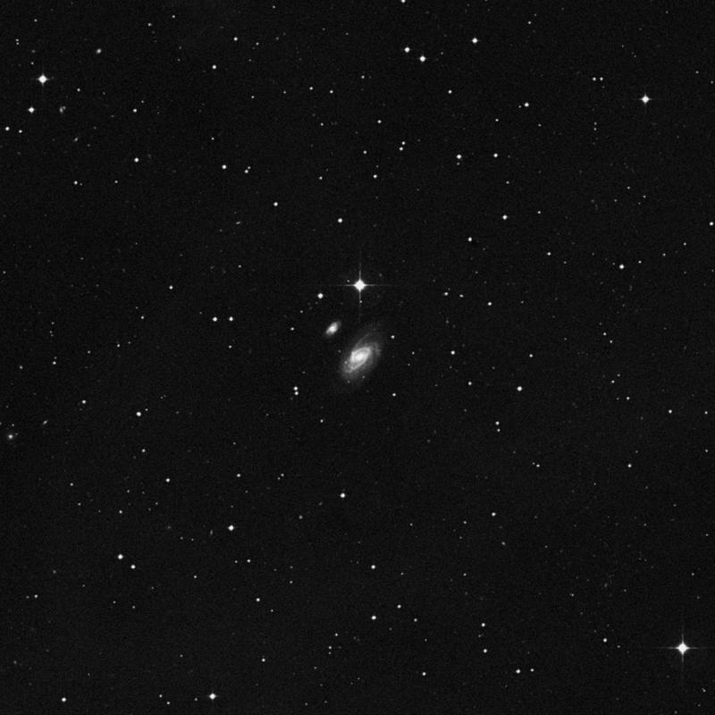 Image of NGC 1241 - Barred Spiral Galaxy in Eridanus star