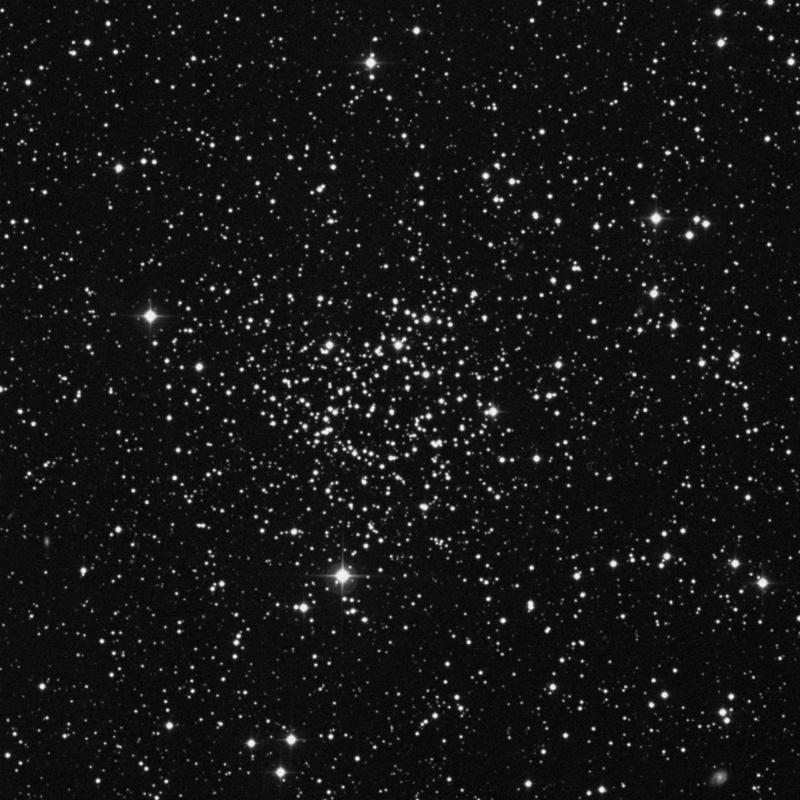 Image of NGC 1245 - Open Cluster in Perseus star