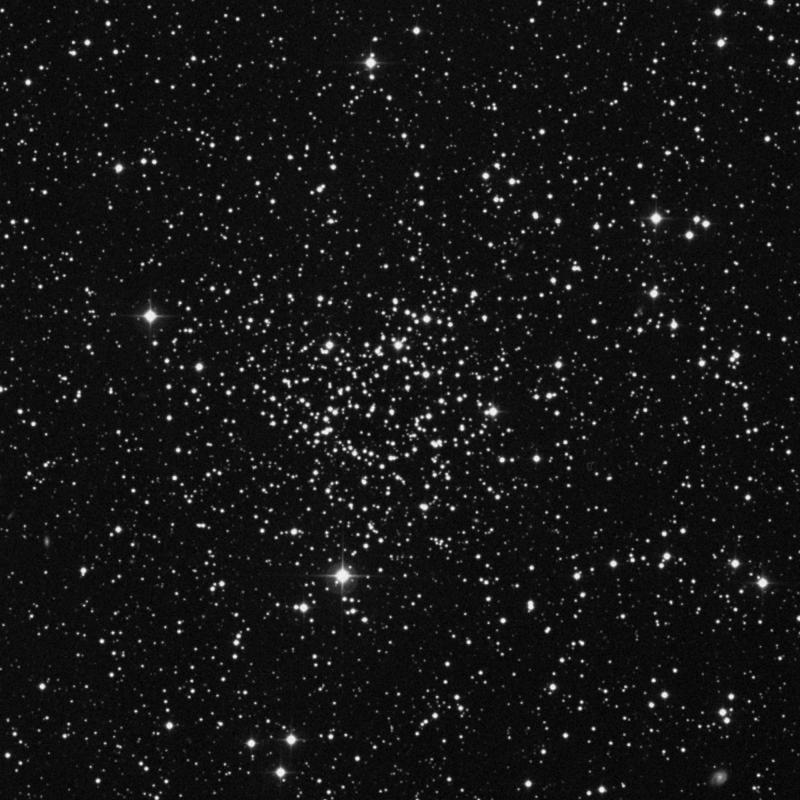 Image of NGC 1245 - Open Cluster in Perseus star