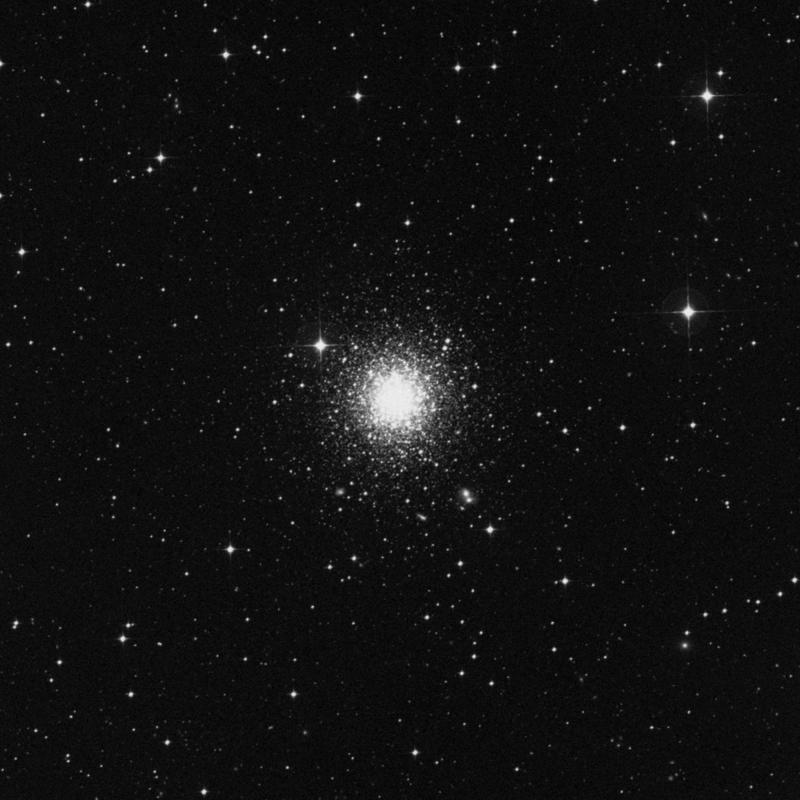 Image of NGC 1261 - Globular Cluster in Horologium star