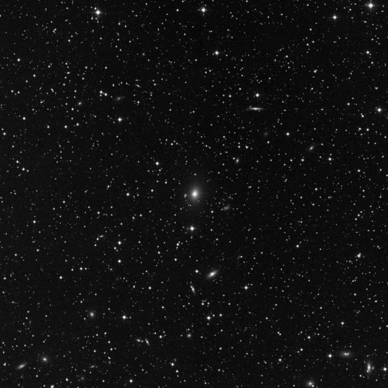 Image of NGC 1265 - Elliptical Galaxy in Perseus star