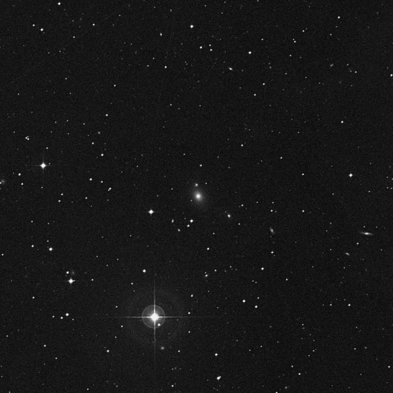 Image of NGC 1284 - Lenticular Galaxy in Eridanus star