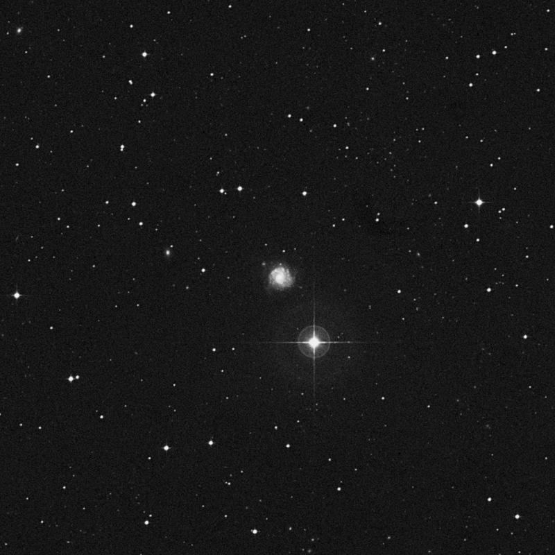 Image of NGC 1309 - Spiral Galaxy in Eridanus star